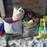 Ďakujeme Lenke z Petržalky za deky, plachty a finančný dar 10€, za ktorý sa kúpili konzervy pre mačky.

